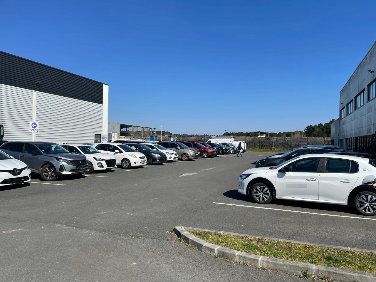 Local d'activité Saint-Jean-d'Illac 2236m² Location local d'activité Saint-Jean-d'Illac Gironde OLACT2530700 1